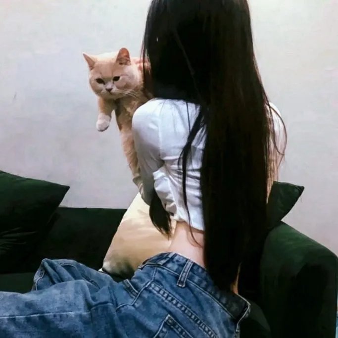 猛男诞生记